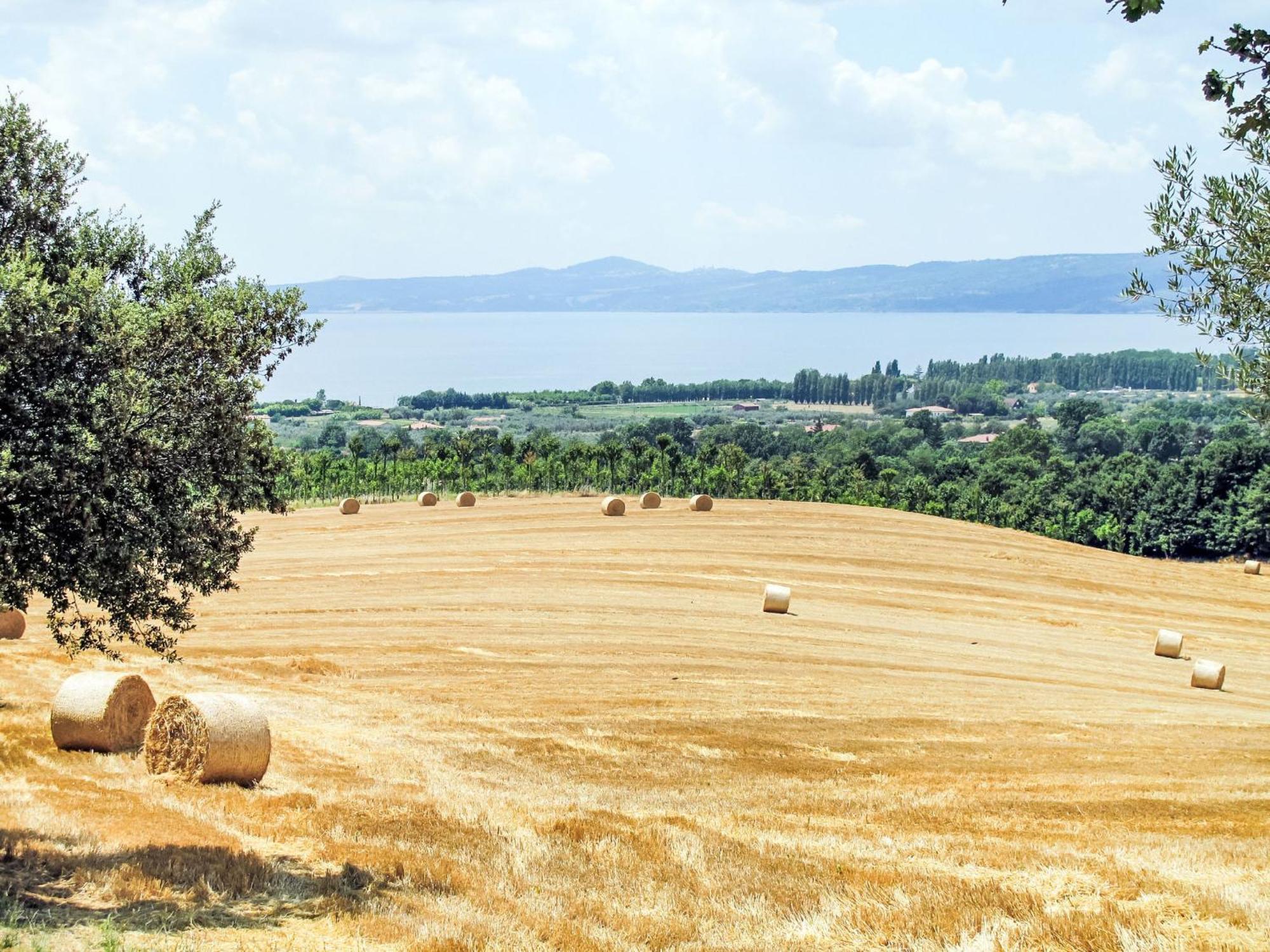 Holiday Home Chalet Del Lago By Interhome Bolsena Buitenkant foto